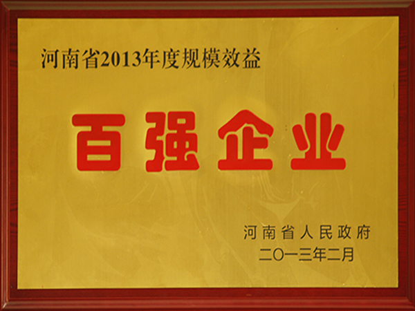 河南省2013年度规模效益百强企业